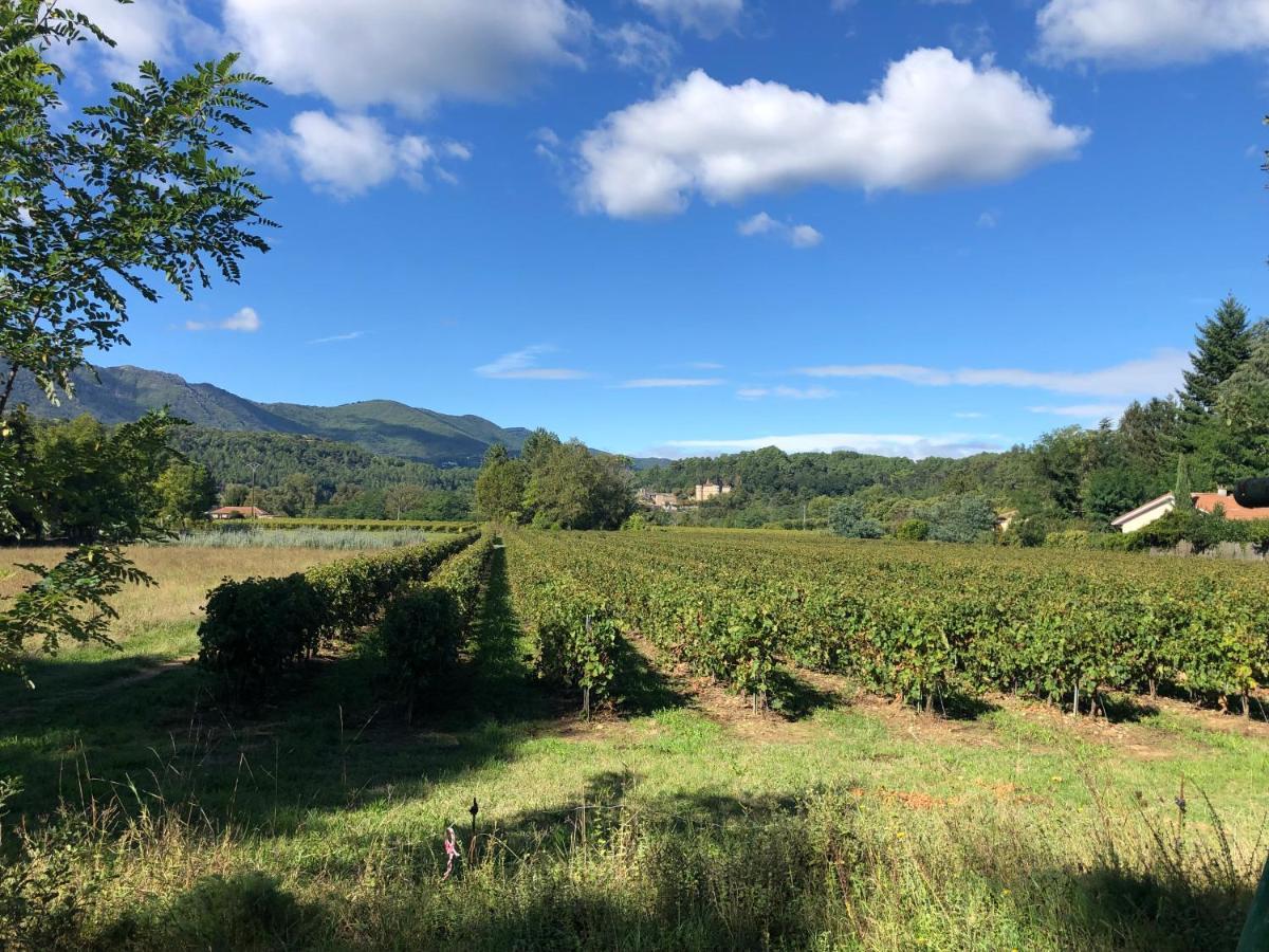Terres De France - Le Domaine Des Vans Chambonas エクステリア 写真