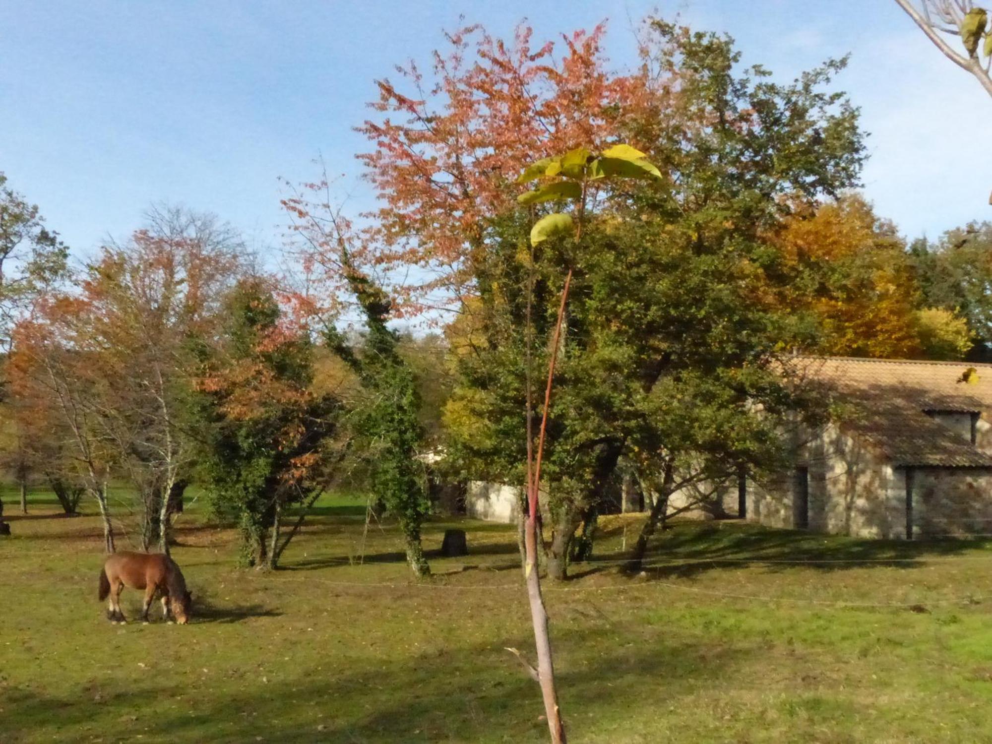 Terres De France - Le Domaine Des Vans Chambonas エクステリア 写真