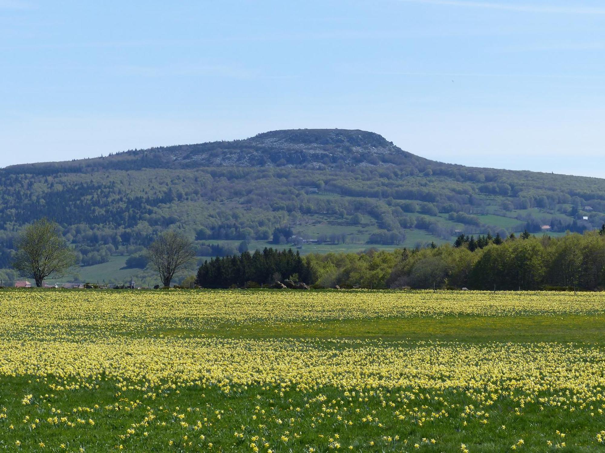 Terres De France - Le Domaine Des Vans Chambonas エクステリア 写真