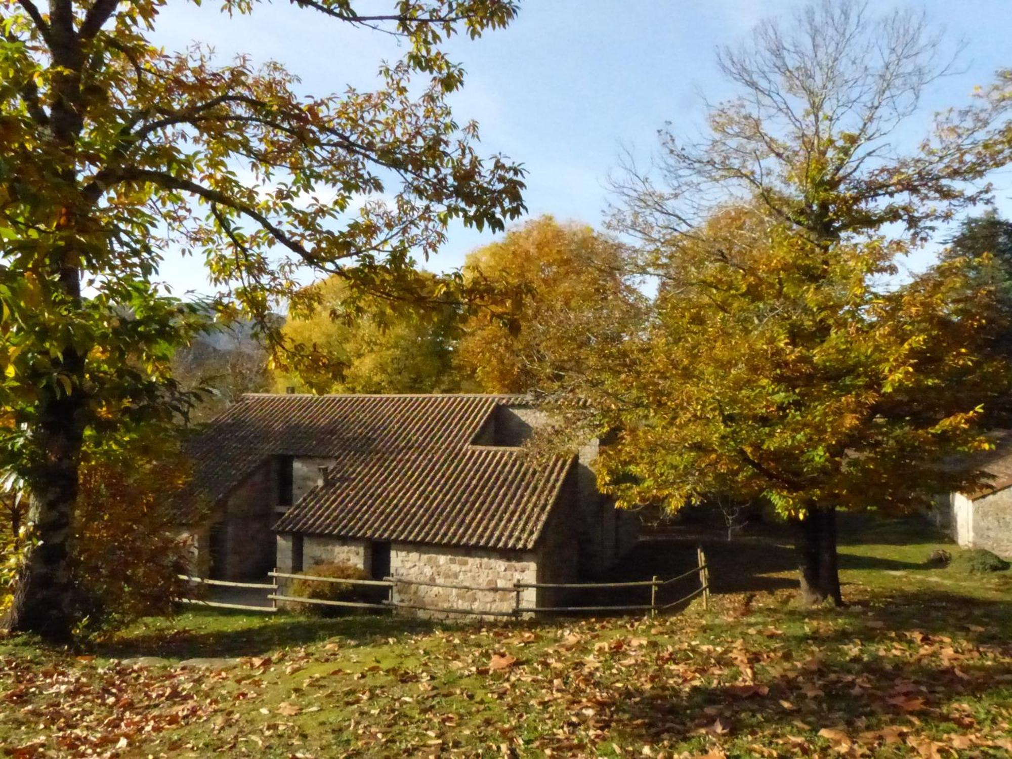 Terres De France - Le Domaine Des Vans Chambonas エクステリア 写真