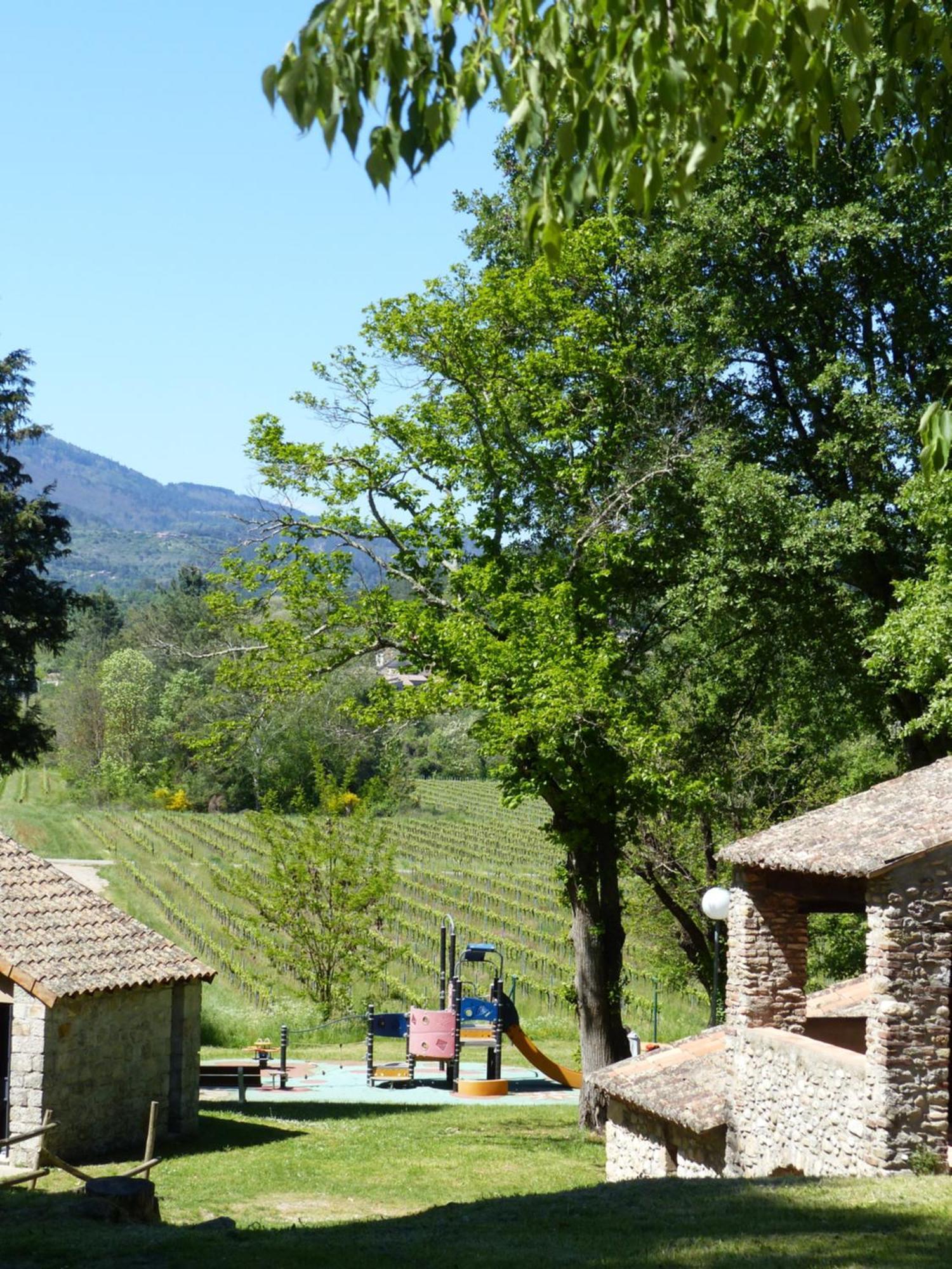 Terres De France - Le Domaine Des Vans Chambonas エクステリア 写真